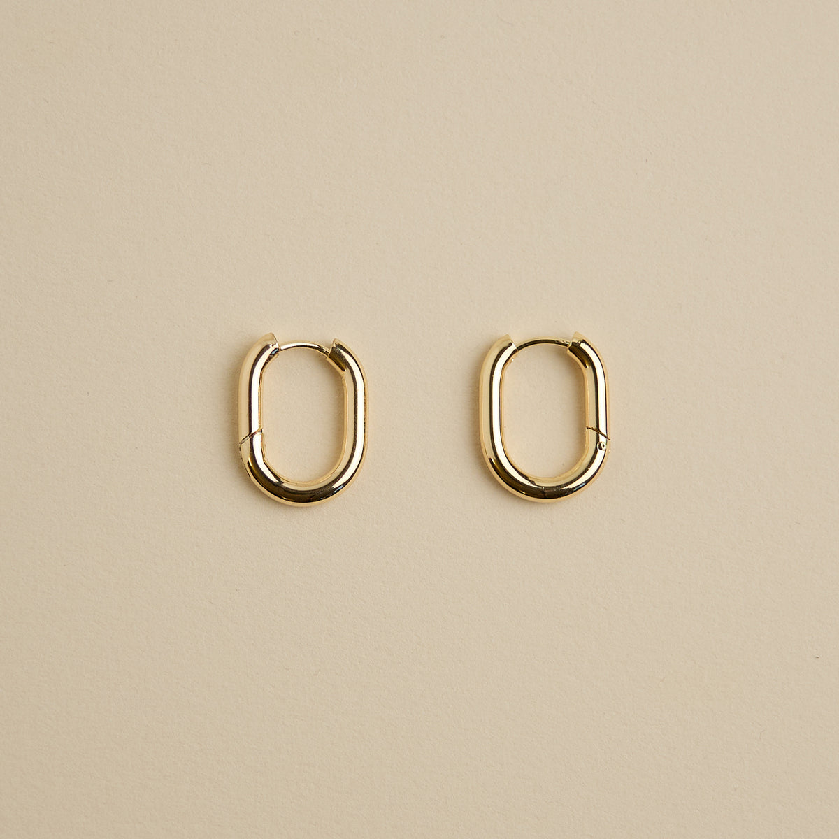 Oval Hoops Earrings