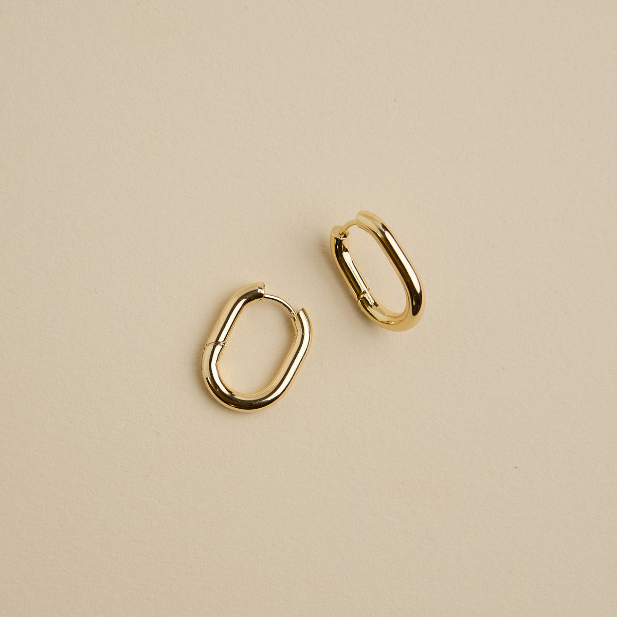 Oval Hoops Earrings