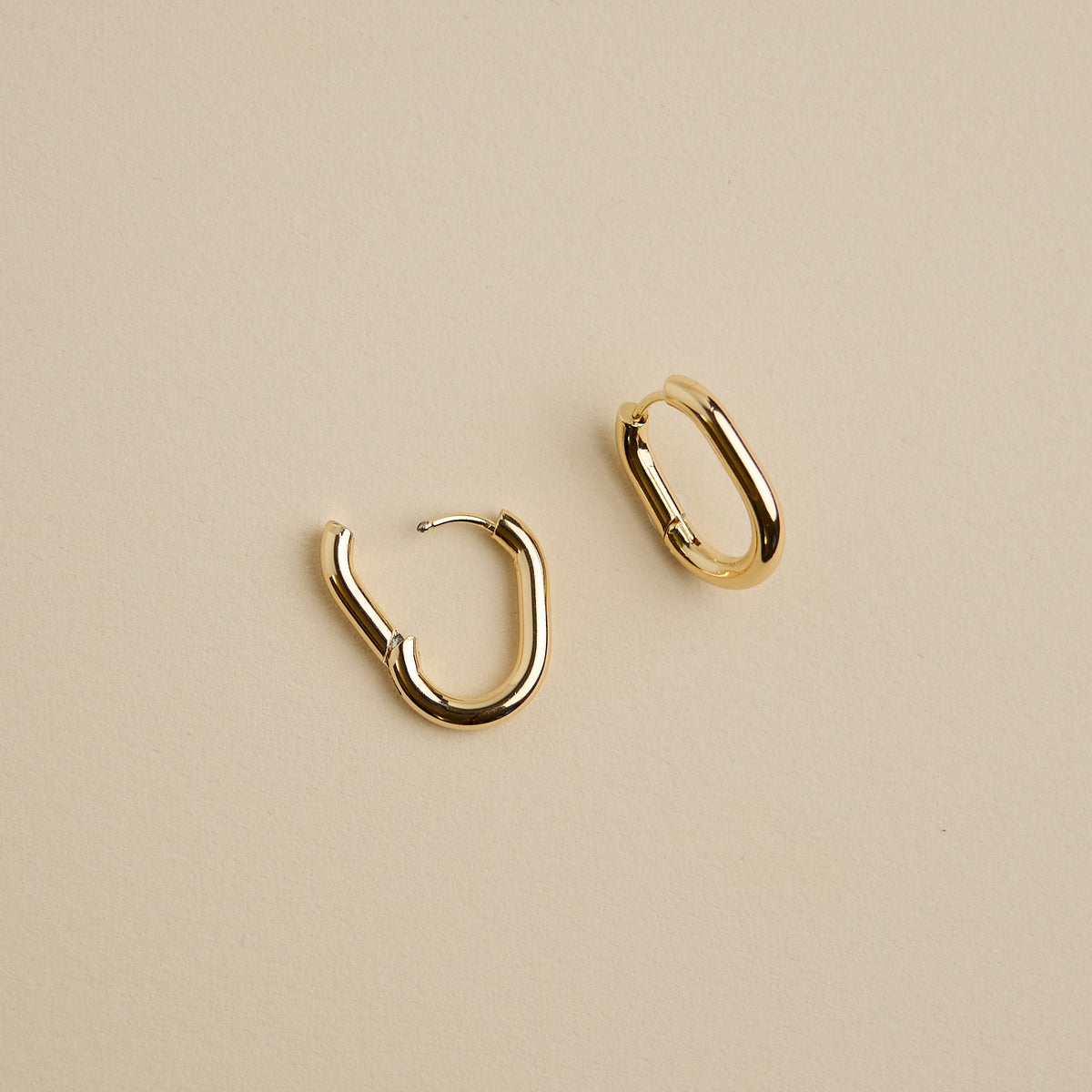 Oval Hoops Earrings