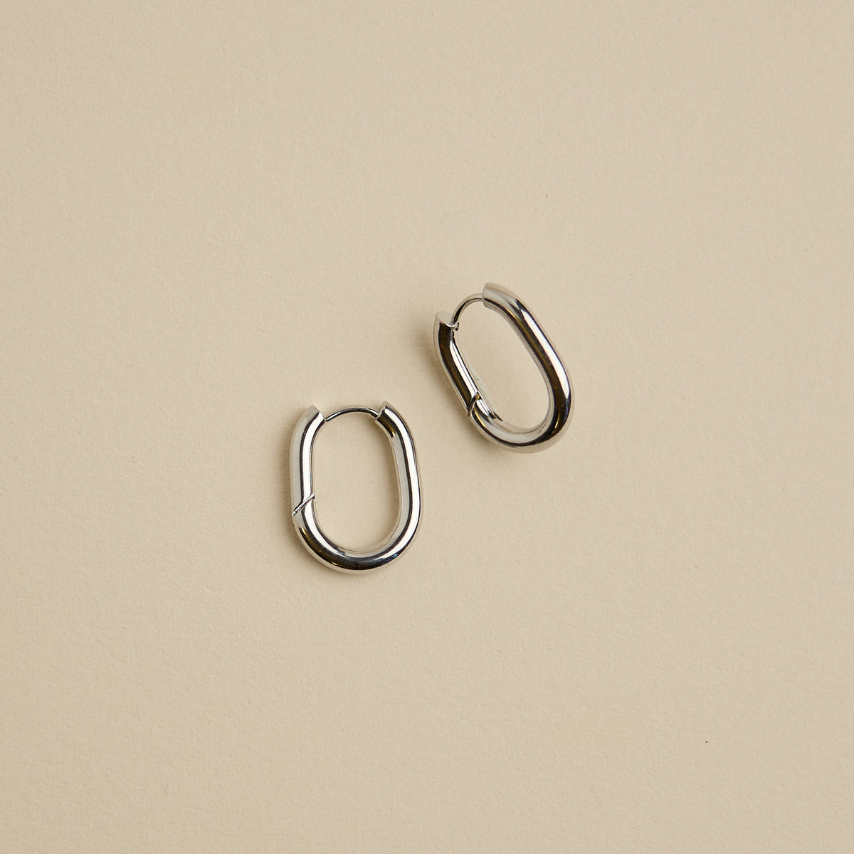 Oval Hoops Earrings