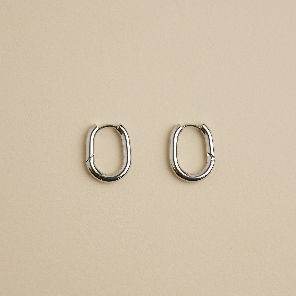 Oval Hoops Earrings