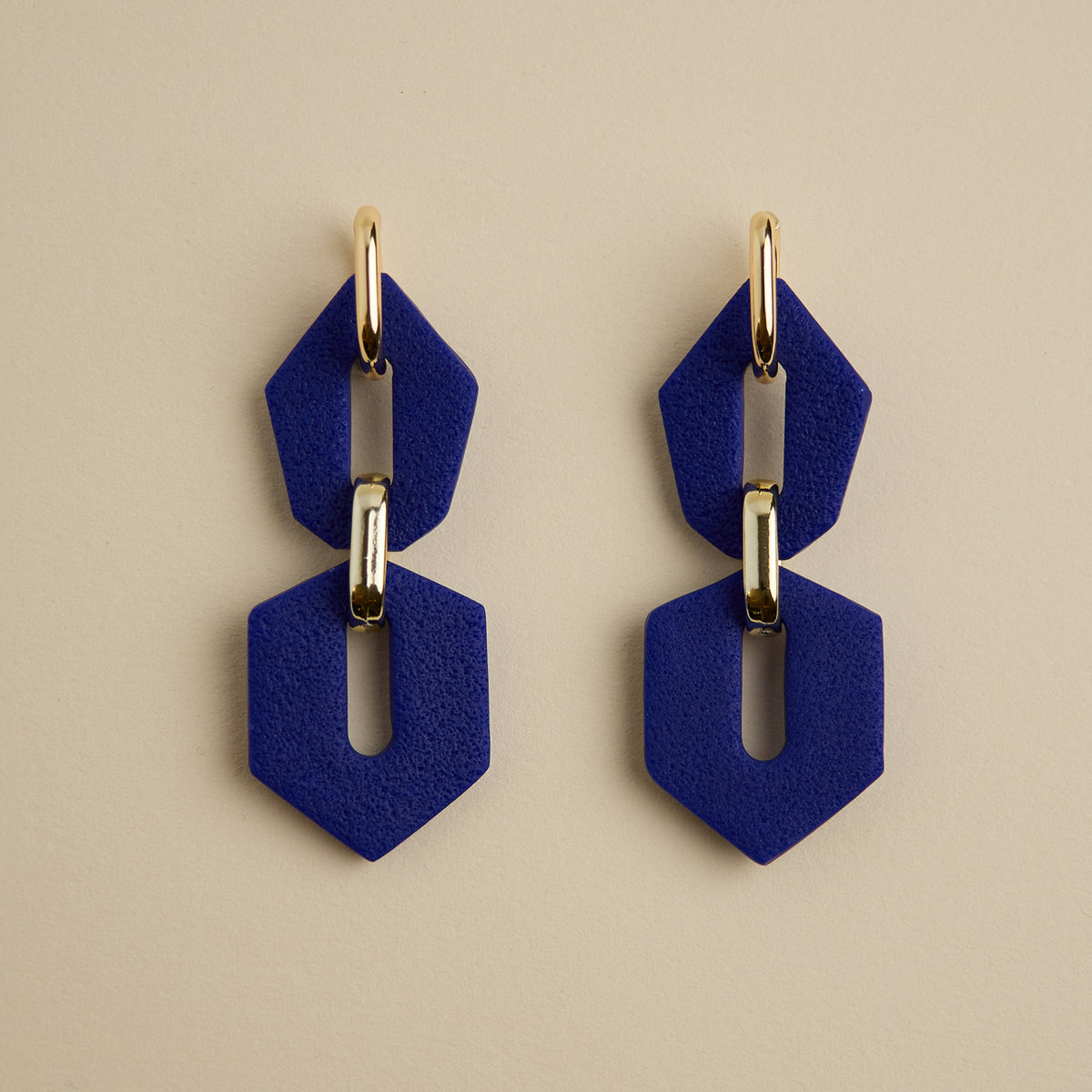 Shilla Hoops earrings-Hue-front angle